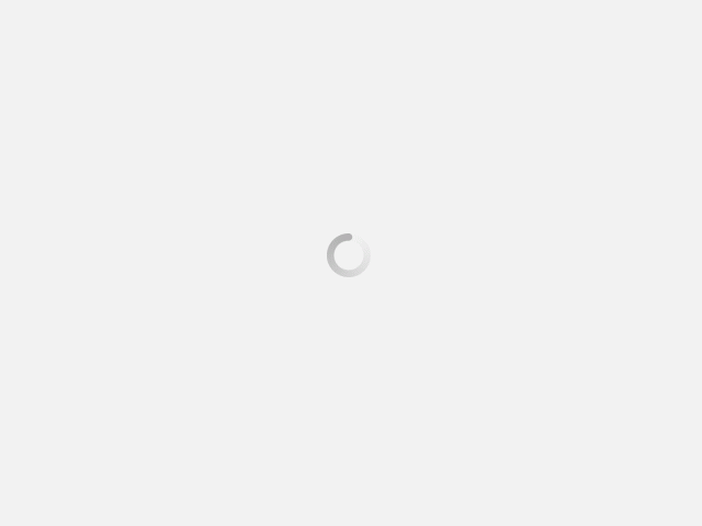 Platform Spring 2025 Release