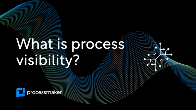 What is process visibility