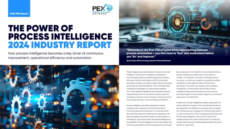 Informe sobre el sector de la inteligencia de procesos PEX-2024